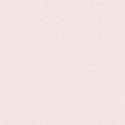 E Colour #450 3 8 White (21x24  Sheet)