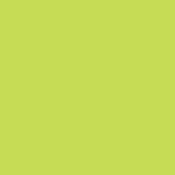E Colour #088 Lime Green (48 x25  Roll)