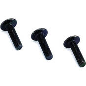 Model 10810 Black Screws and Washers 10810
