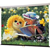 209001 Star Manual Projection Screen (50 x 50 )