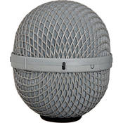 Baby Ball Gag Windshield