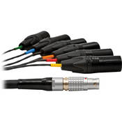 DAO5120 Lemo multi pin to 6 x XLR M,  65.6  (20 m)