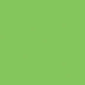 Plus Green Cine Filter (20x24  Sheet)