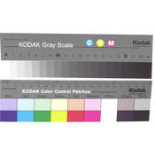 Color Separation Guide and Gray Scale (Q 13, 8  Long)