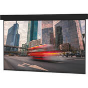 Professional Electrol 123x164 in.   Matte White