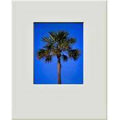 Mat   Fits Gallery and Presentation Frames, 16x20  with 8x10  Opening, Antique White with Bevel   Portrait Format