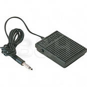 FC5   Foot Switch Style Sustain, Punch In Out Pedal