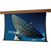 Artisan Series V Motorized Projection Screen (70 x 70 )