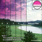 2 x 2  1 Magenta Soft Edge Graduated Filter