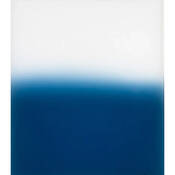 X Pro 123 Graduated Blue B2 Resin Filter