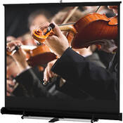 40274 Floor Model C Manual Front Projection Screen (10x10 )