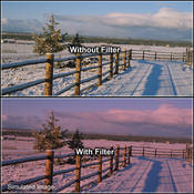 4 x 4  1 Cranberry Solid Color Filter