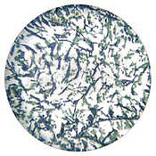 Glass Gobo #56202 (Blue, Green) (Size B = 86mm)
