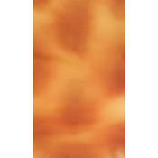 #039 Muslin Background (10x12 , Autumn Haze)