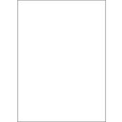 Muslin Modern Background   10x20    White