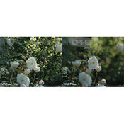 37mm 0.6 ND 102 Filter