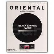 Seagull Black & White Graded #4 RC (Resin Coated) Glossy Paper   20 x 24 (10 Sheets)