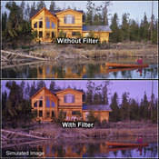 4 x 4  1 Grape Solid Color Filter