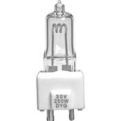 DYG Tungsten Lamp (250W 30V)