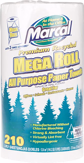 TOWELS PAPER RECYCLE 210/RL