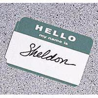BADGE SS HELLO/NAME 100