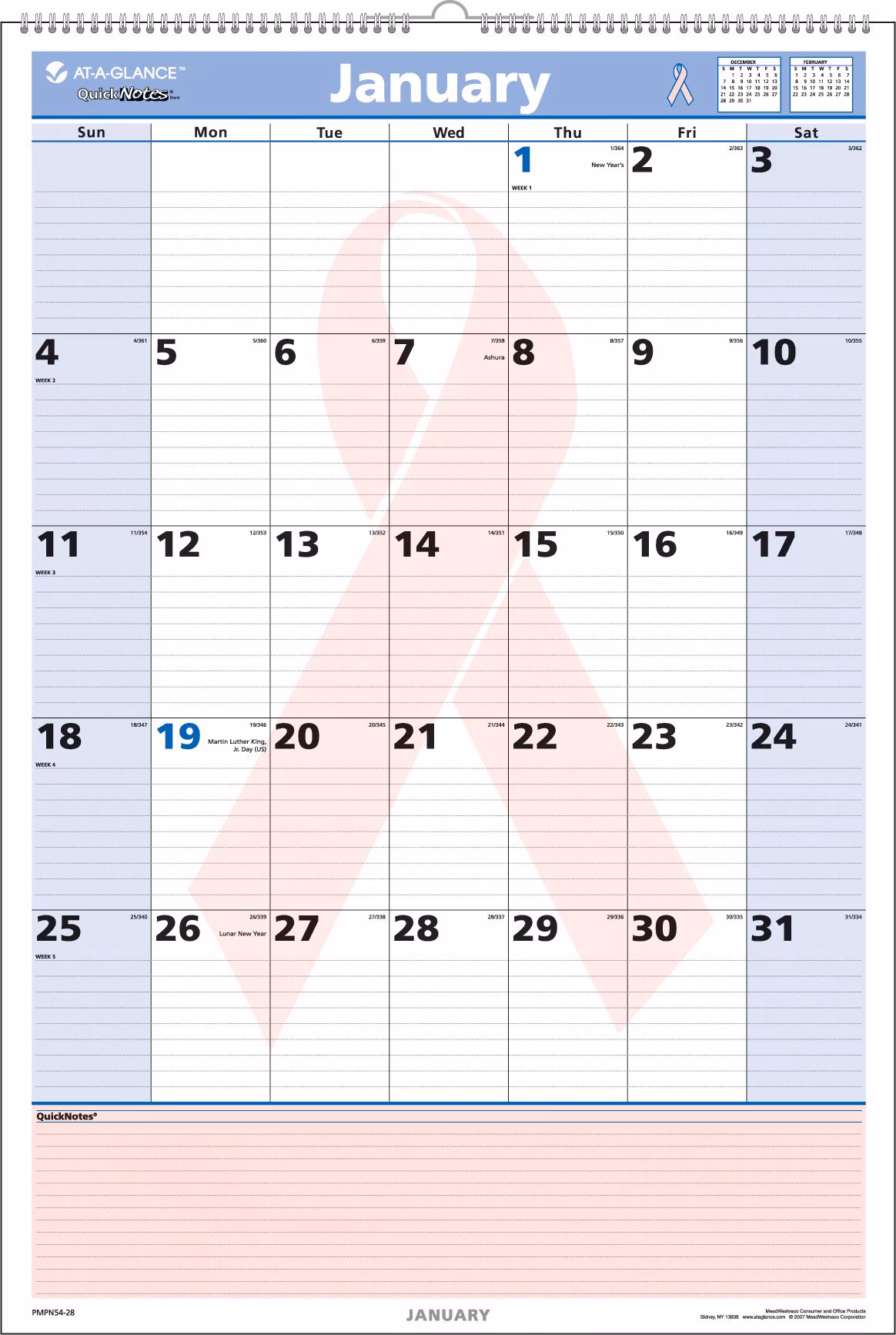 13 AAG QN MTH PINK WALL 15X22
