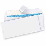 #10 REGULAR PEEL/SEAL ENV.