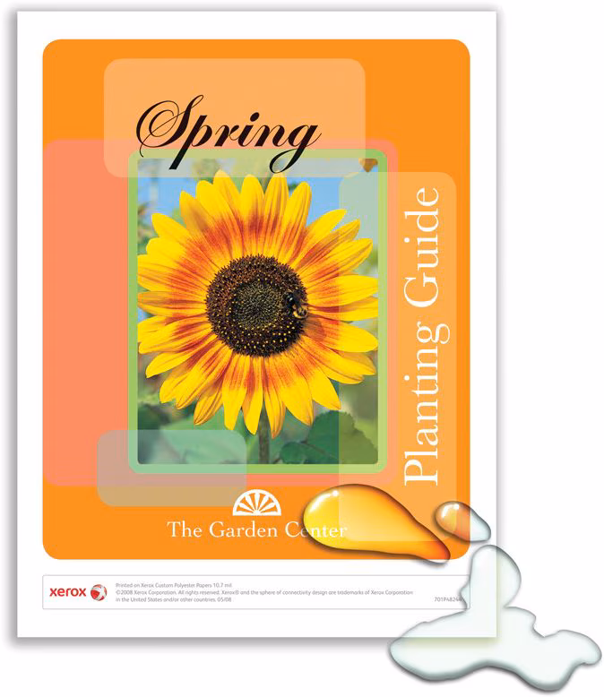 XEROX PREMIUM NEVERTEAR 8.5X11