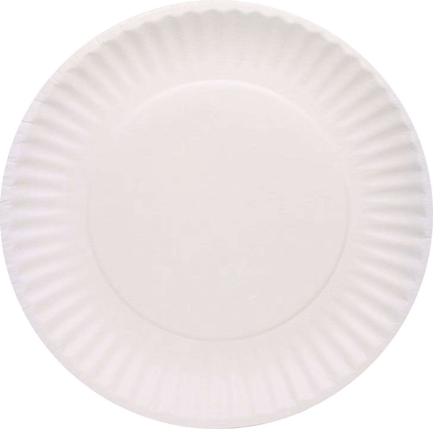 9IN WHITE UNCOATED PLATE1000/C