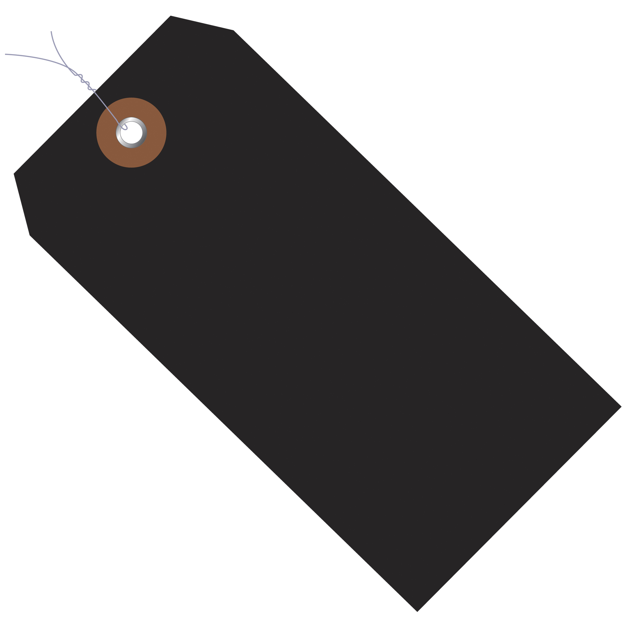 Plastic Shipping Tags, Pre-Wired, 6 1/4" x 3 1/8", Black, 100/Case