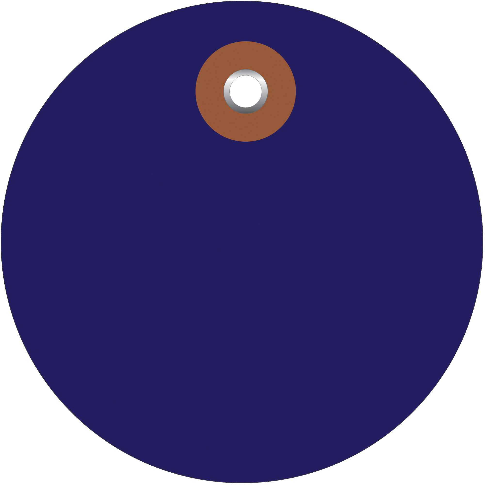 Plastic Circle Tags, 3", Blue, 100/Each