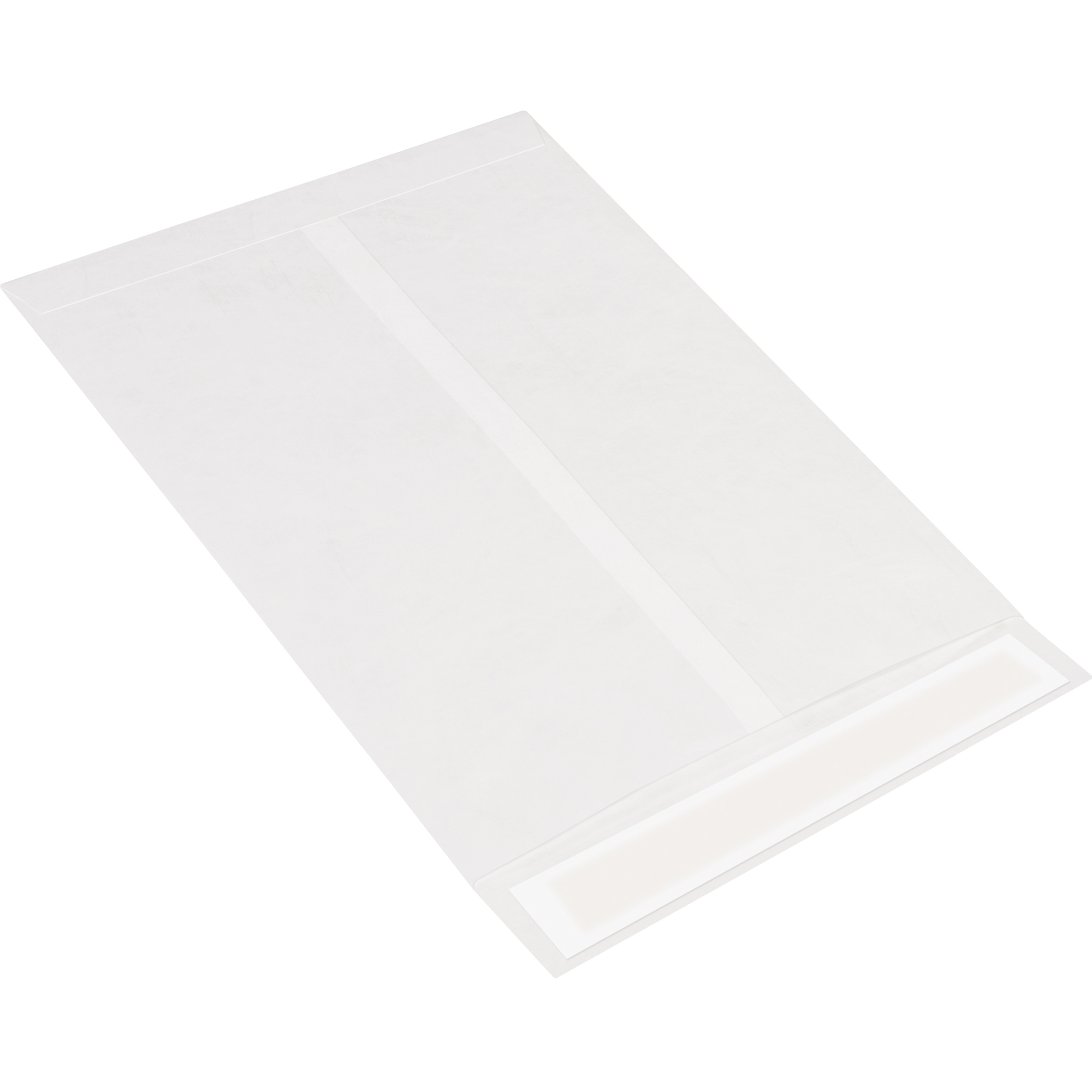 Tyvek® Flat Envelopes, 9 1/2" x 12 1/2", White, 100/Case