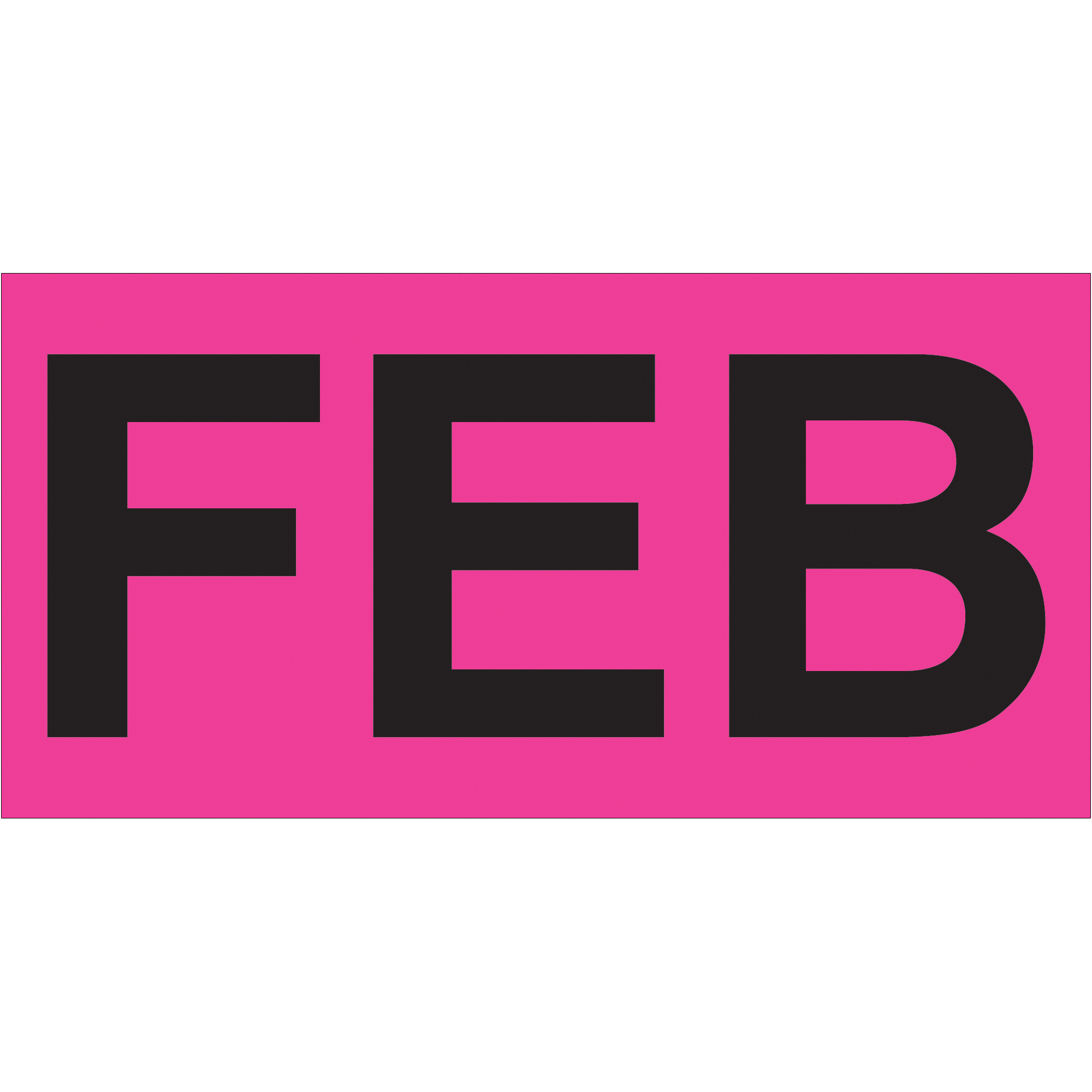 Tape Logic® Months of the Year Labels, "FEB", 3" x 6", Fluorescent Pink, 500/Roll