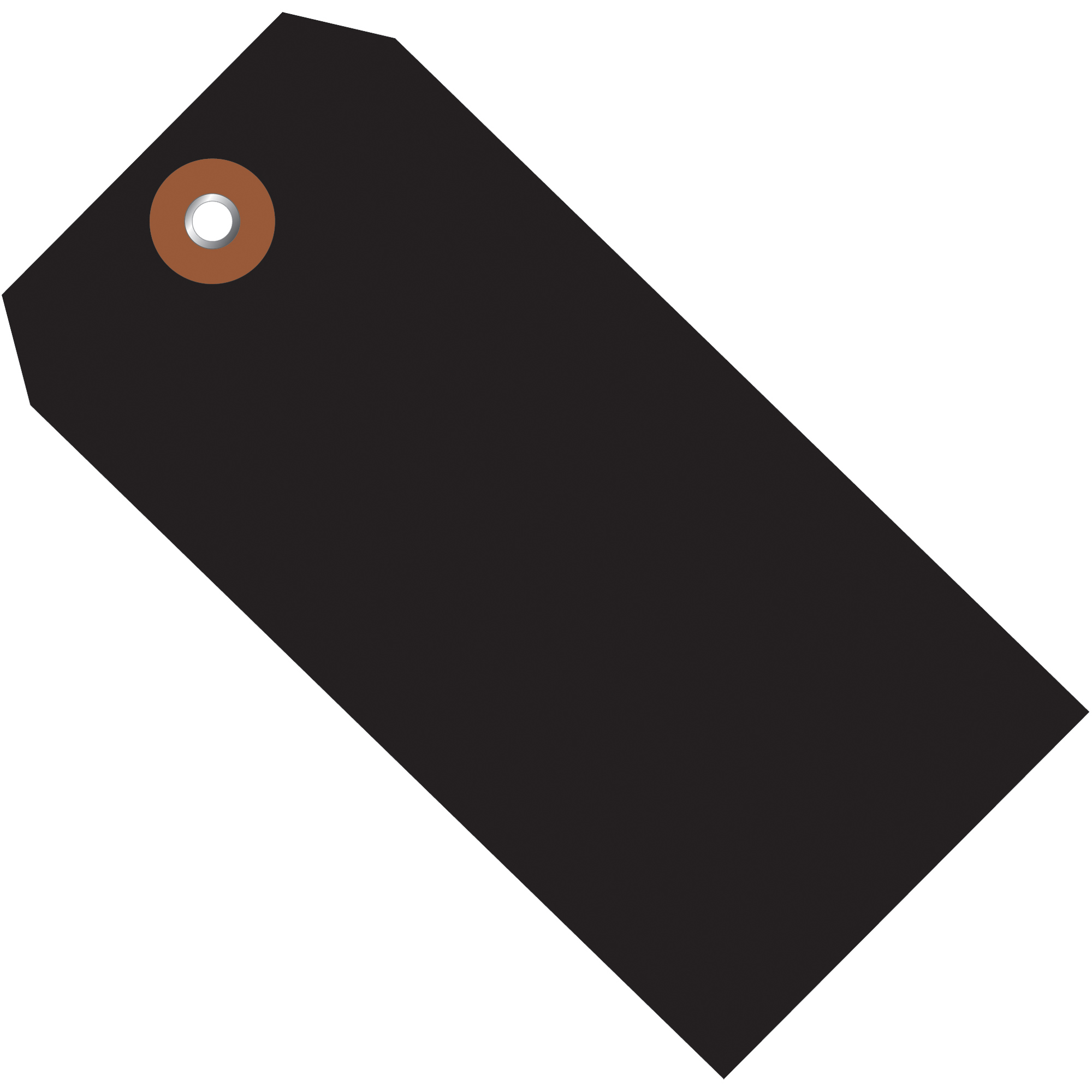 Plastic Shipping Tags, 6 1/4" x 3 1/8", Black, 100/Case
