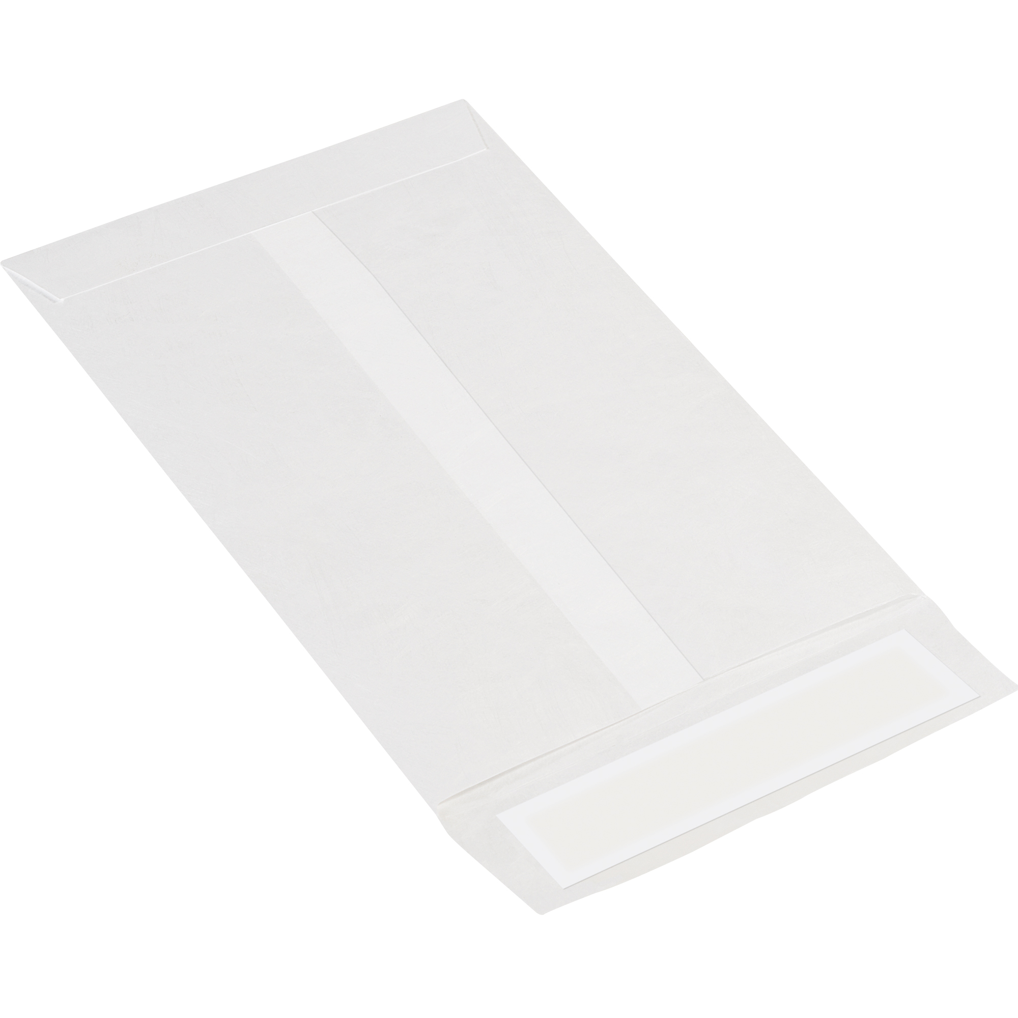 Tyvek® Flat Envelopes, 6" x 9", White, 100/Case