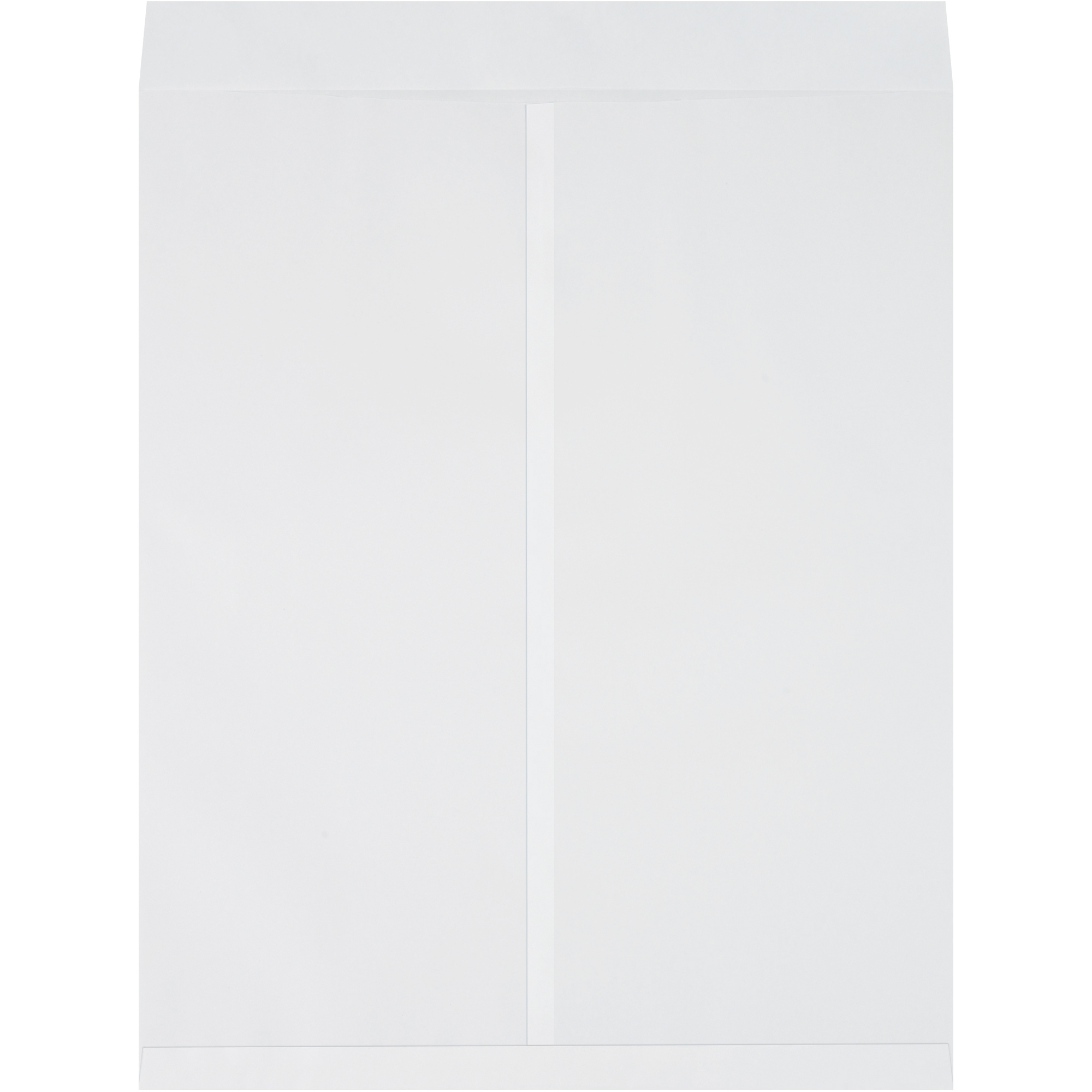 Jumbo Envelopes, 22" x 27", White, 100/Case