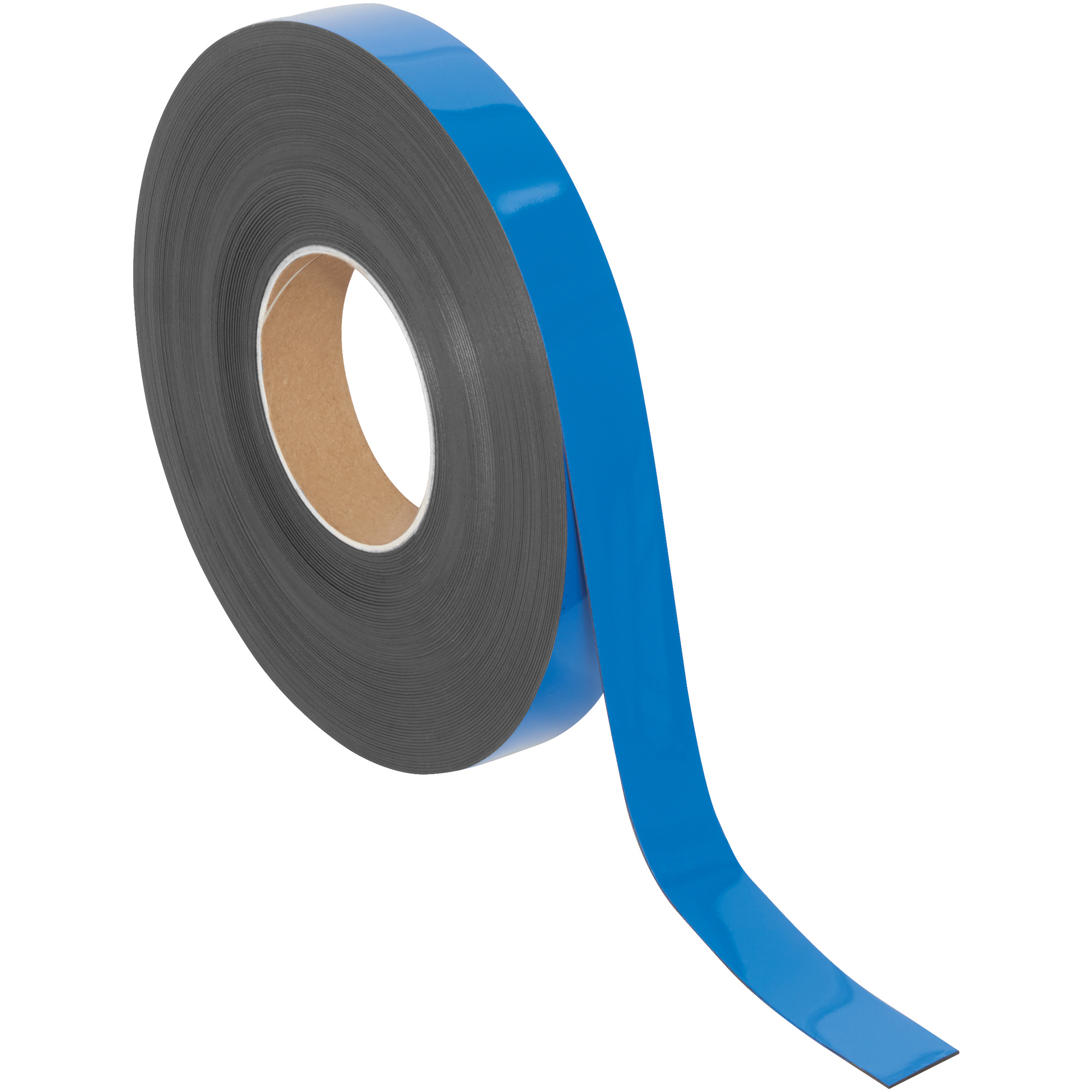 Warehouse Labels, Magnetic Rolls, 1" x 100', Blue, 1/Case