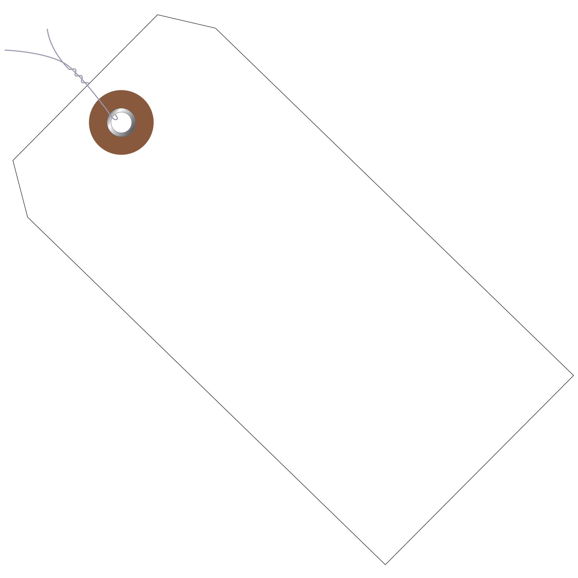Plastic Shipping Tags, Pre-Wired, 4 3/4" x 2 3/8", White, 100/Case