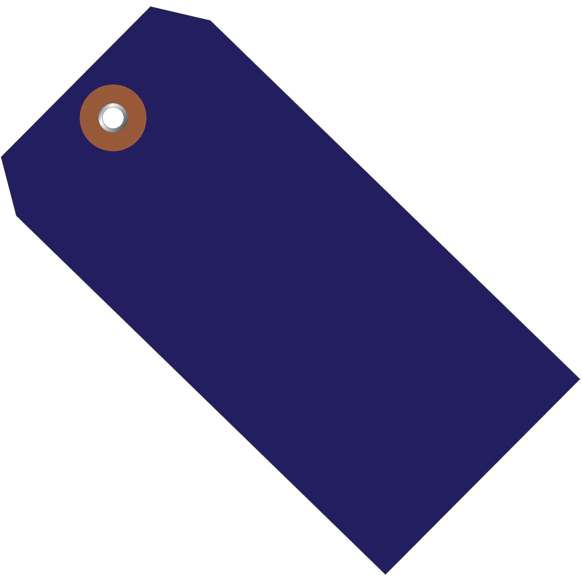 Plastic Shipping Tags, 6 1/4" x 3 1/8", Blue, 100/Case