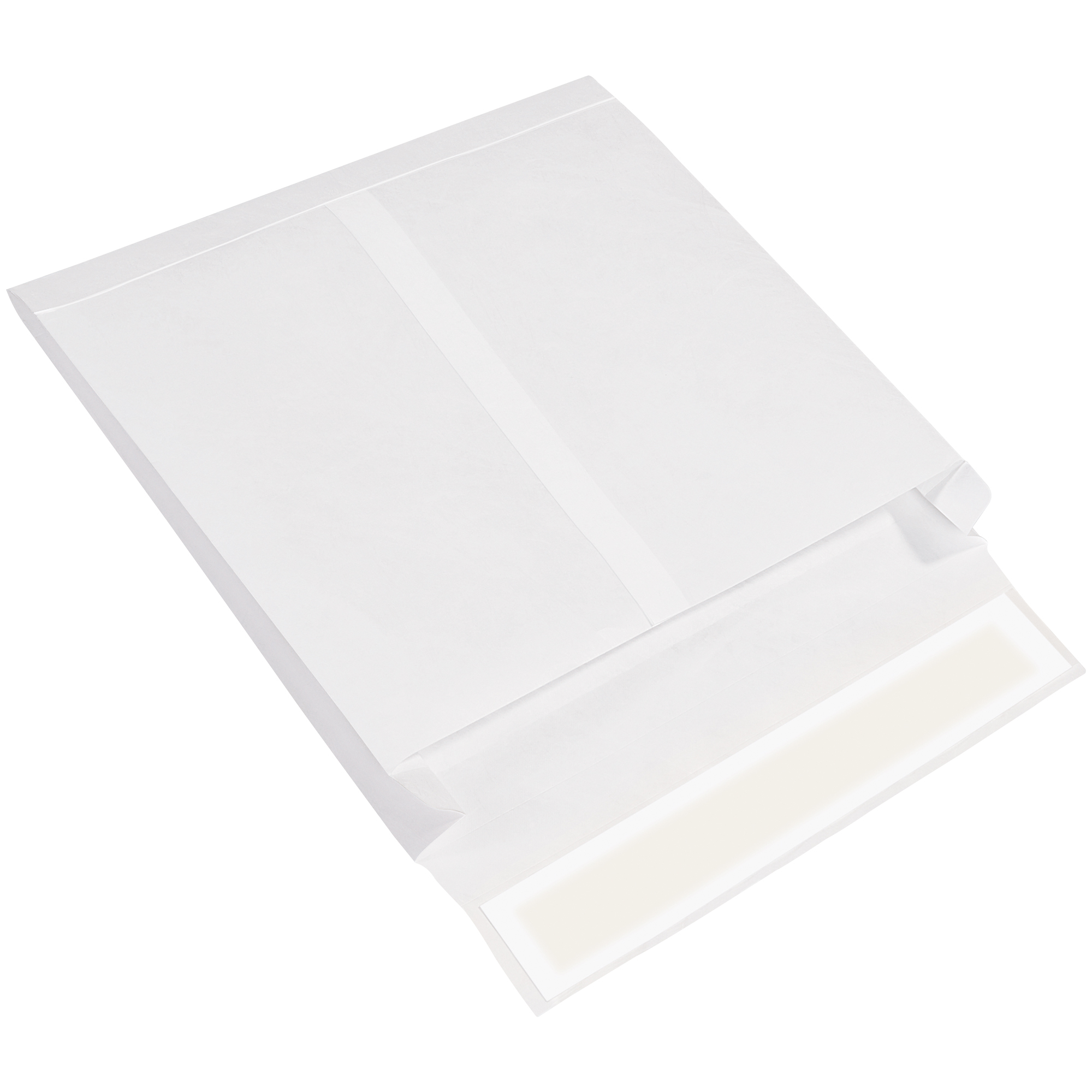 Tyvek® Expandable Envelopes, 10" x 13" x 2", White, 100/Case