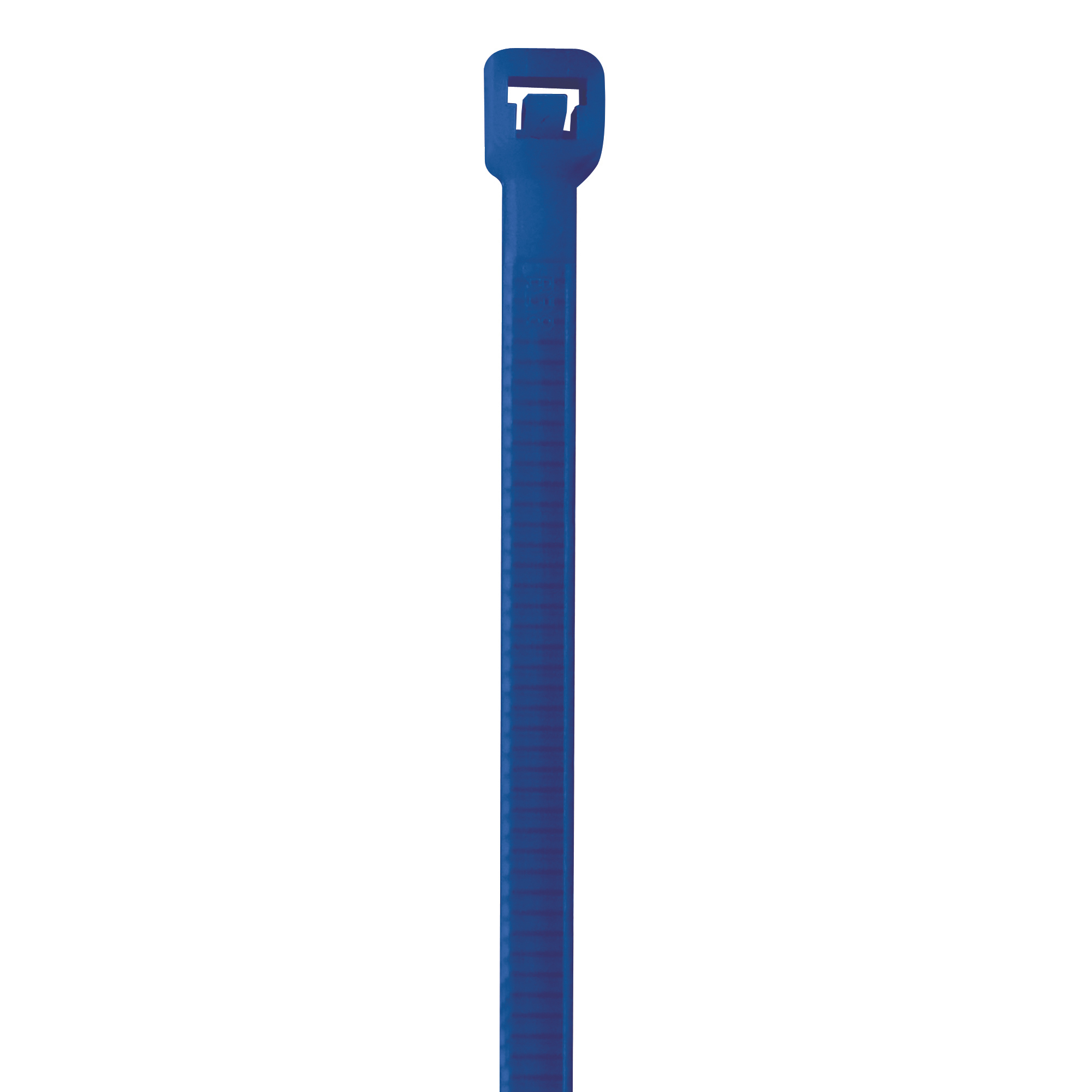 Colored Cable Ties, 40#, 5 1/2", Blue, 1000/Case