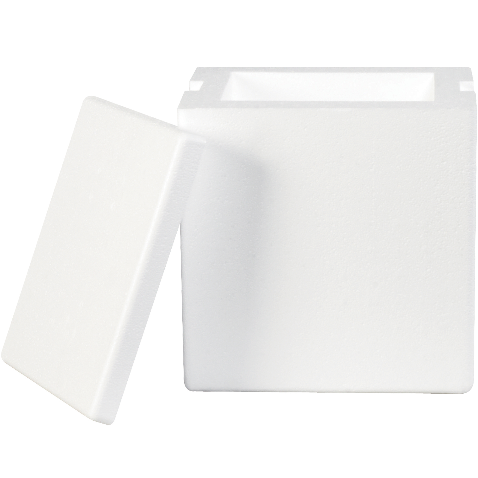 Insulated Foam Containers, 8" x 6" x 9", White, 8/Case