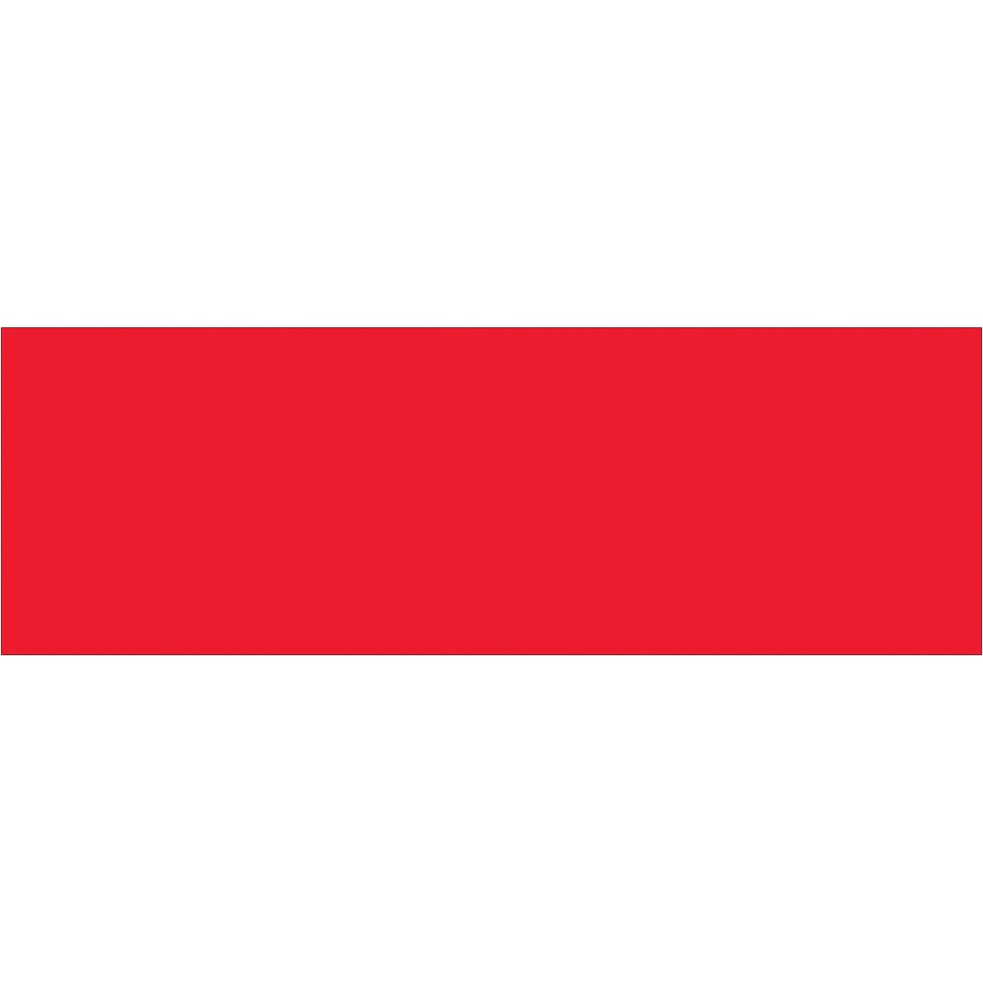 Tape Logic® Inventory Rectangle Labels, 3" x 9", Fluorescent Red, 250/Roll