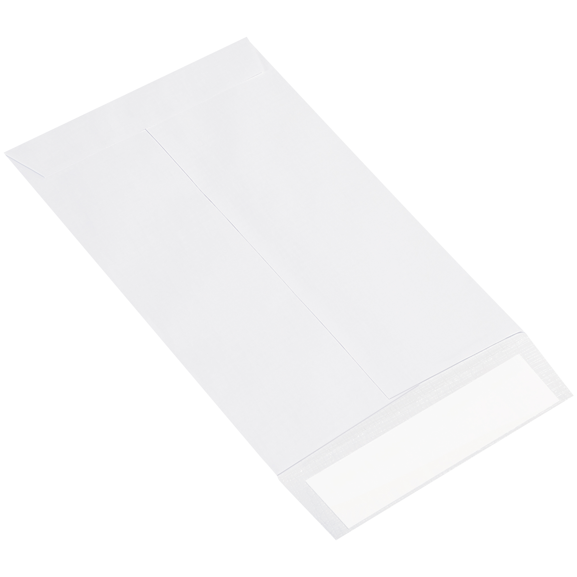 Ship-Lite® Flat Envelope, 6" x 9", White, 100/Case