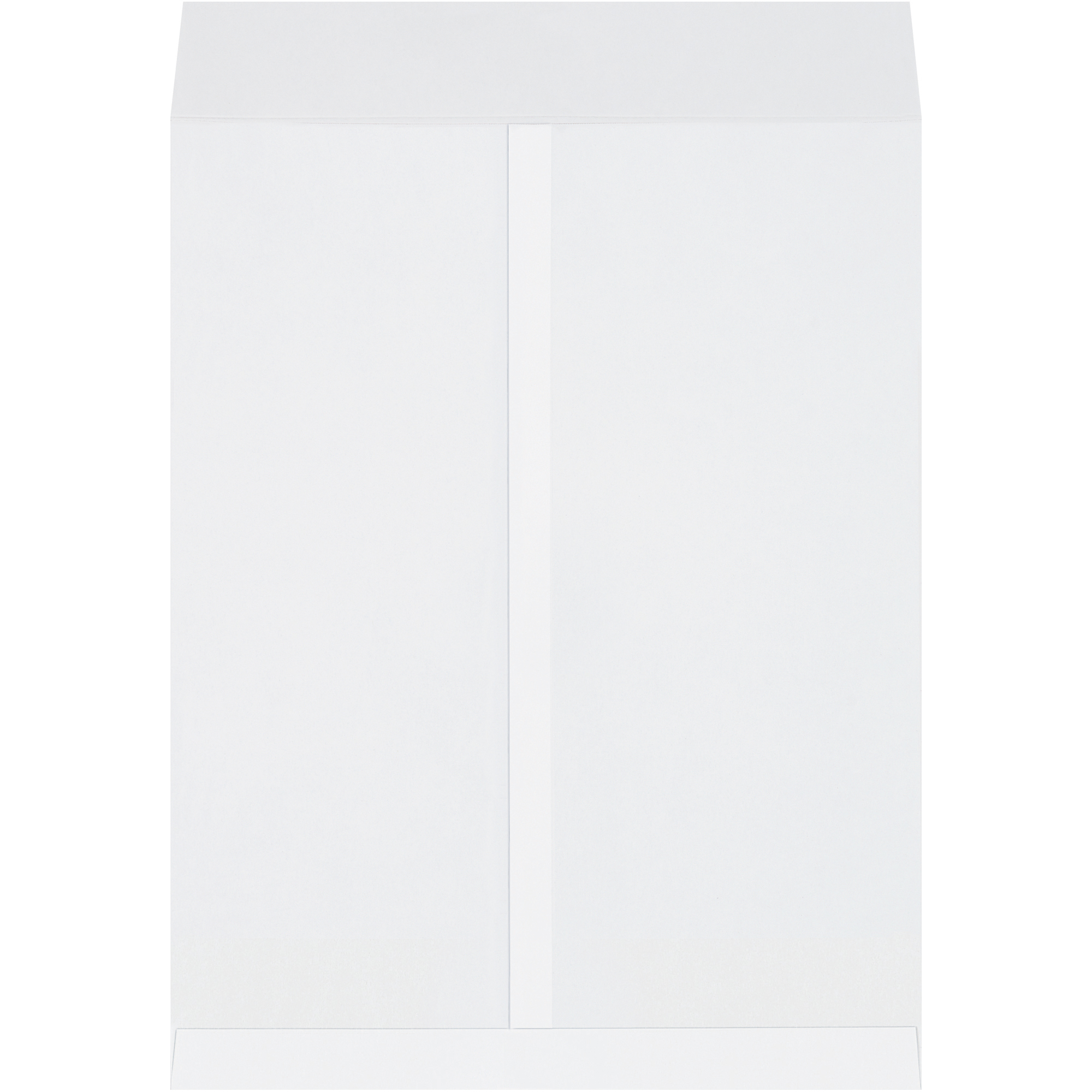 Jumbo Envelopes, 17" x 22", White, 250/Case