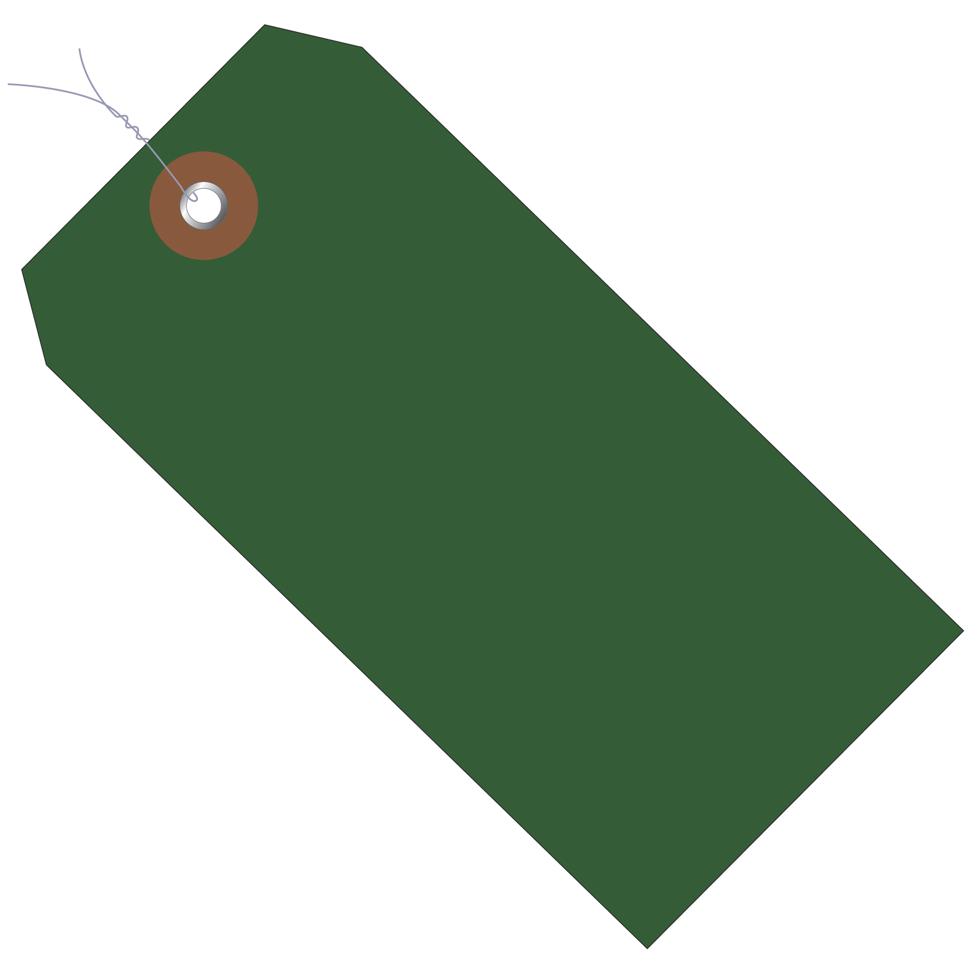Plastic Shipping Tags, Pre-Wired, 4 3/4" x 2 3/8", Green, 100/Case