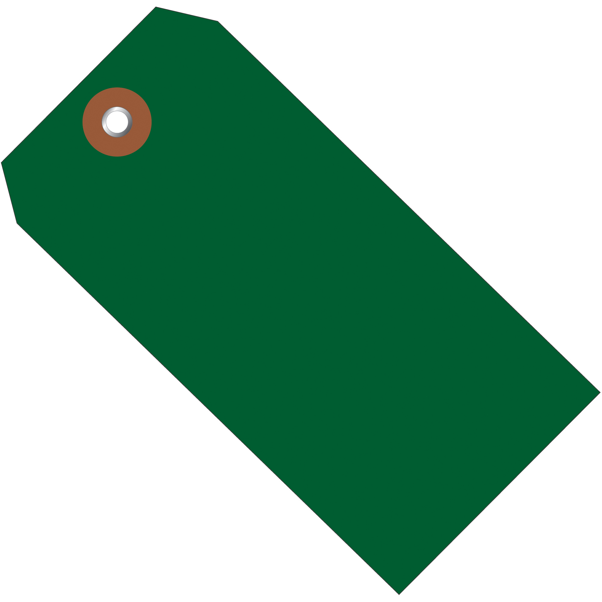 Plastic Shipping Tags, 4 3/4" x 2 3/8", Green, 100/Case