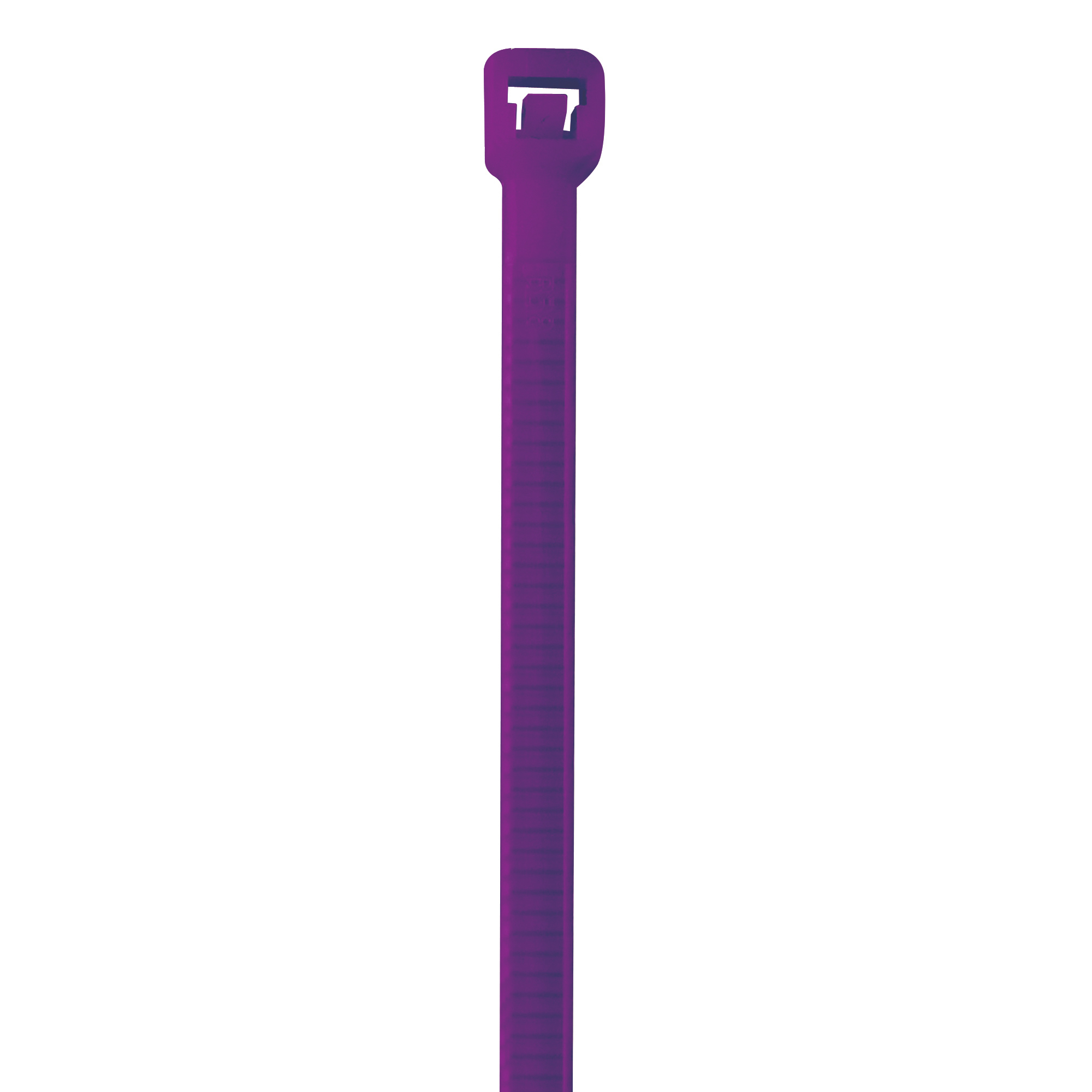 Colored Cable Ties, 40#, 8", Purple, 1000/Case
