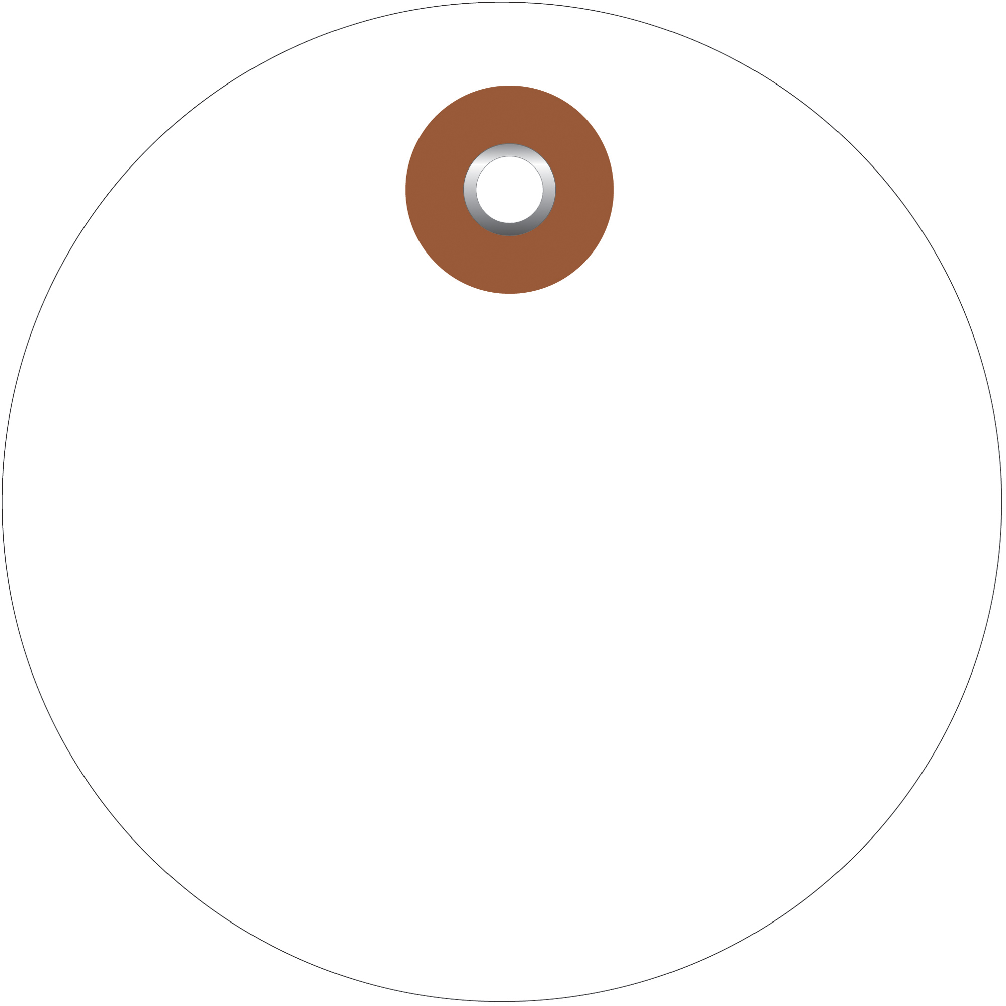Plastic Circle Tags, 2", White, 100/Each