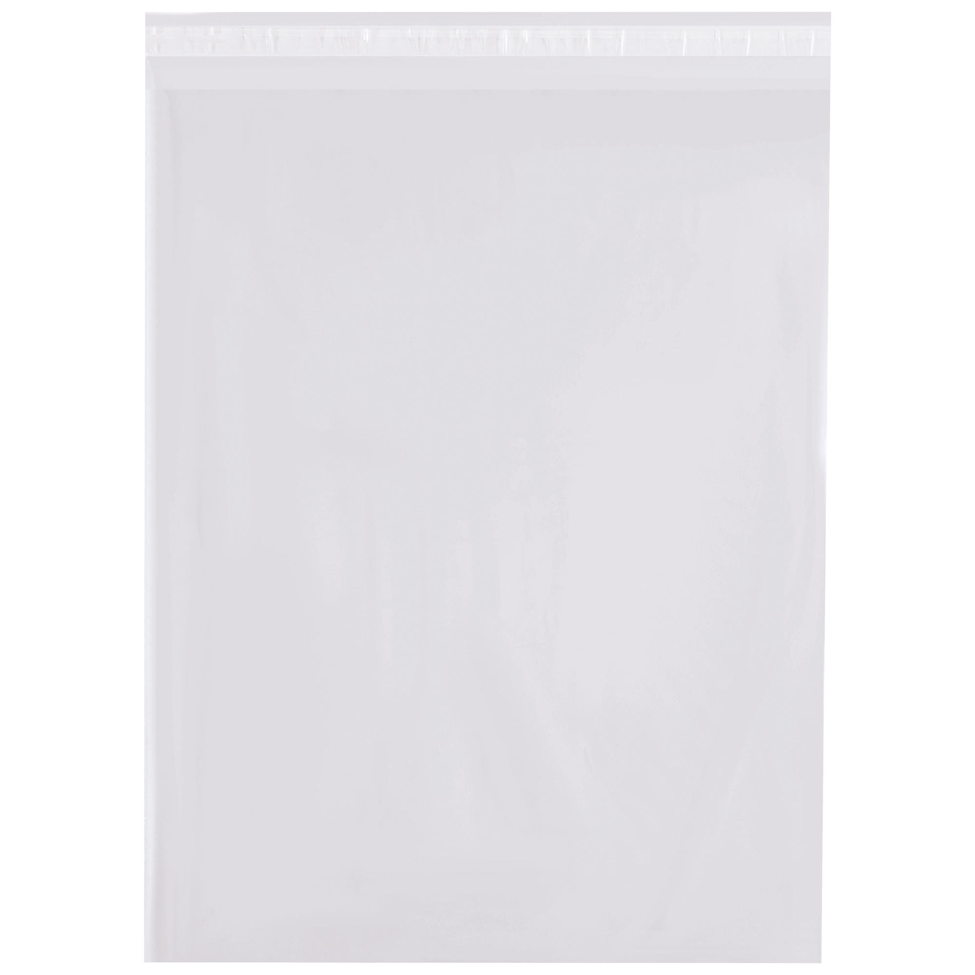 Resealable 1.5 Mil Poly Bags, 12 x 18", Clear, 1000/Case